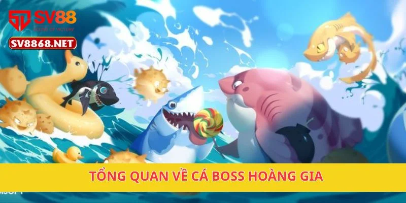 Tổng quan về Cá Boss Hoàng Gia