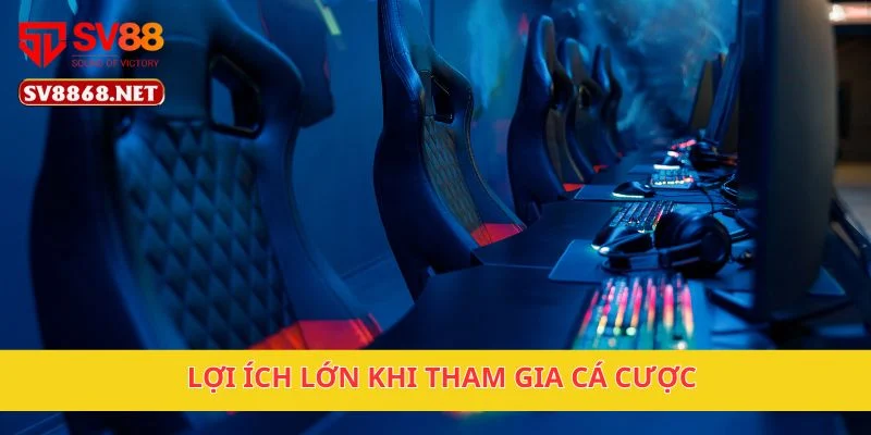 Lợi ích lớn khi tham gia cá cược