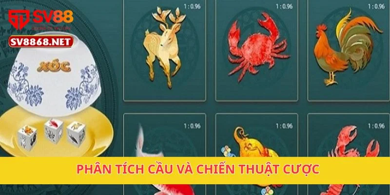 Phân tích cầu và chiến thuật cược