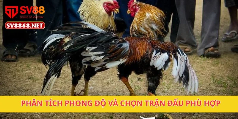Phân tích phong độ và chọn trận đấu phù hợp