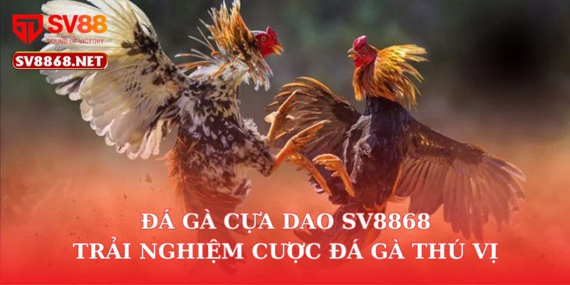 Đá Gà Cựa Dao SV88 – Trải Nghiệm Cược Đá Gà Thú Vị