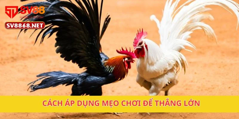 Cách áp dụng mẹo chơi để thắng lớn