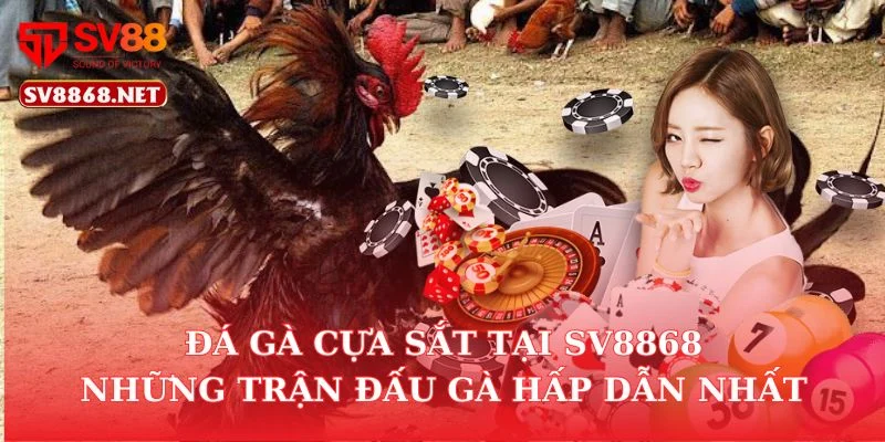 Đá Gà Cựa Sắt Tại SV88 – Những Trận Đấu Gà Hấp Dẫn Nhất