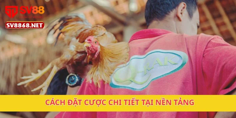 Cách đặt cược chi tiết tại nền tảng