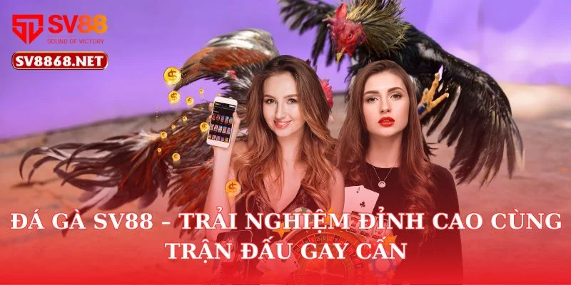 Đá Gà Sv88 – Trải Nghiệm Đỉnh Cao Cùng Trận Đấu Gay Cấn