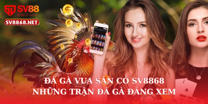 Đá Gà Vua Sân Cỏ Sv88 – Những Trận Đá Gà Đáng Xem