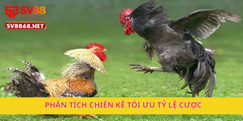 Phân tích chiến kê tối ưu tỷ lệ cược