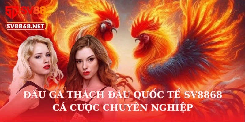 Đấu Gà Thách Đấu Quốc Tế SV88 – Cá Cược Chuyên Nghiệp