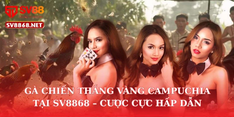 Gà Chiến Thắng Vàng Campuchia Tại SV88 – Cược Cực Hấp Dẫn