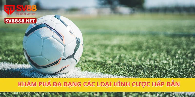 Khám phá đa dạng các loại hình cược hấp dẫn