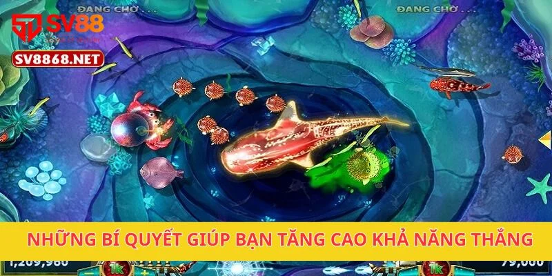 Những bí quyết giúp bạn tăng cao khả năng thắng