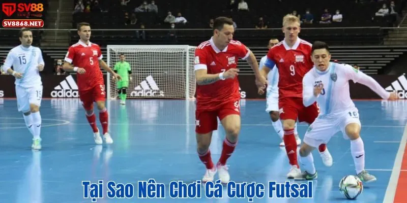Tại sao nên chơi cá cược futsal