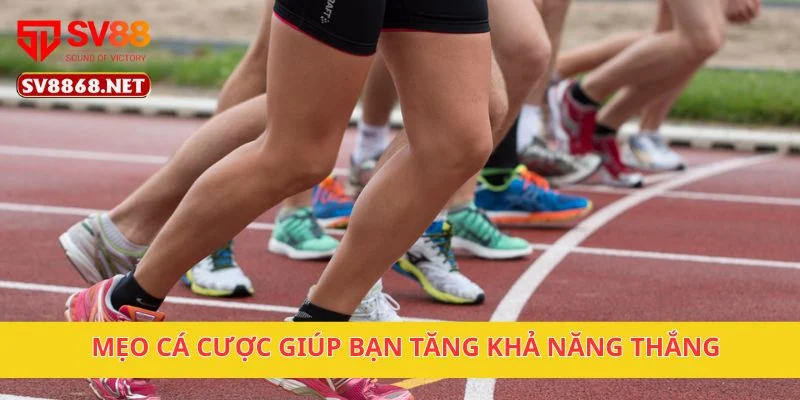 Mẹo cá cược giúp bạn tăng khả năng thắng